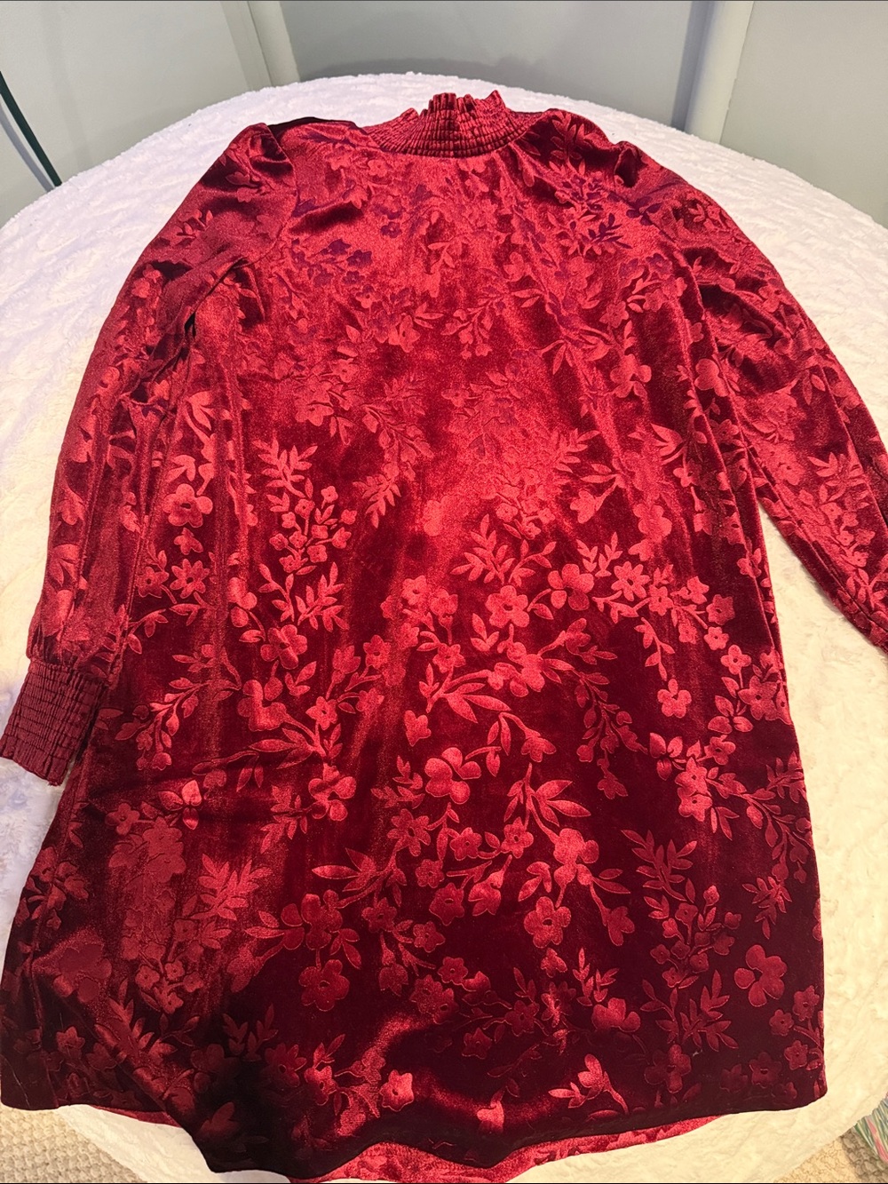Red velour Floral Dress NWT